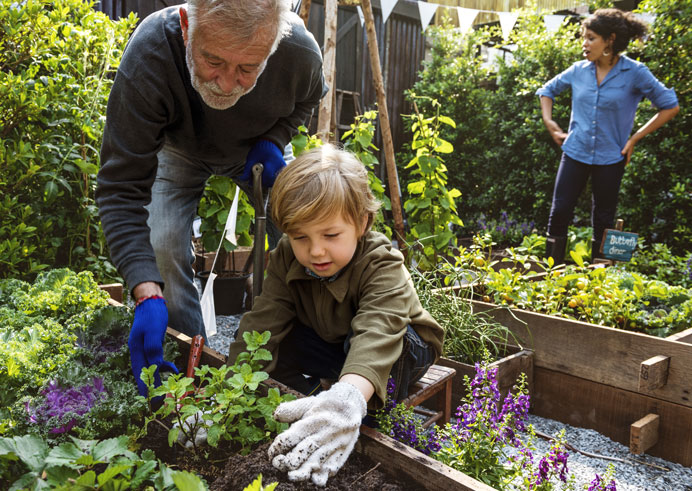 Cómo cuidar las plantas en el jardín de casa